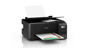 The Epson printer driver error Windows 10 / 11
